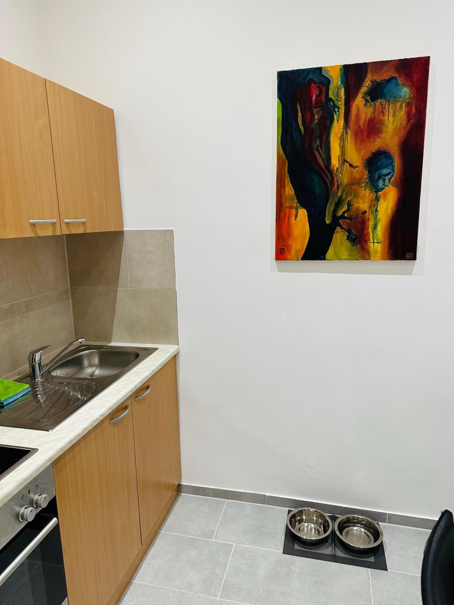 Viki's Galerie Apartment Wien